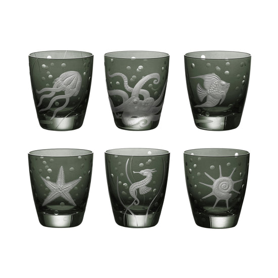 Sea Life Collection Set