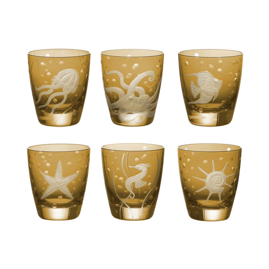 Sea Life Collection Set