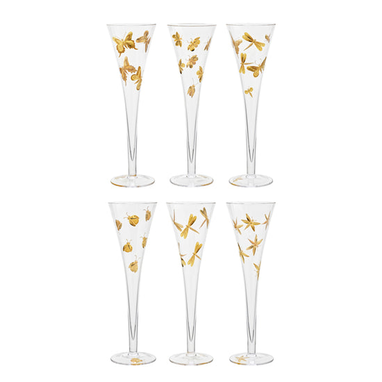 Fly Fusion Collection Set