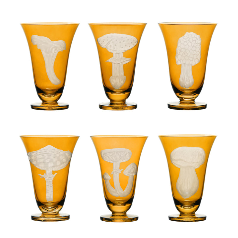 Mushrooms Summer Cep