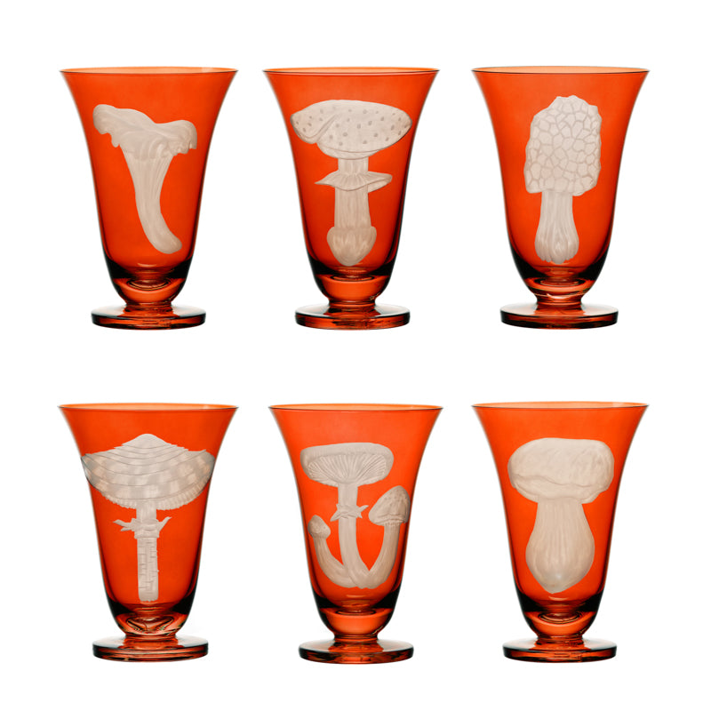 Mushrooms Summer Cep