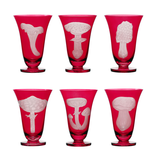 Mushrooms Honey Fungus