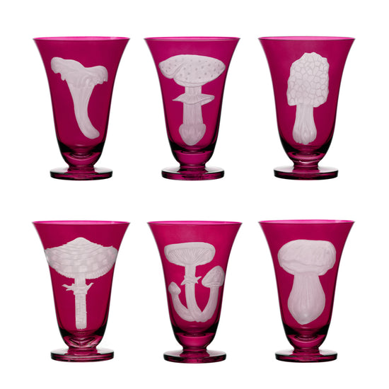 Mushrooms Fly Amanita