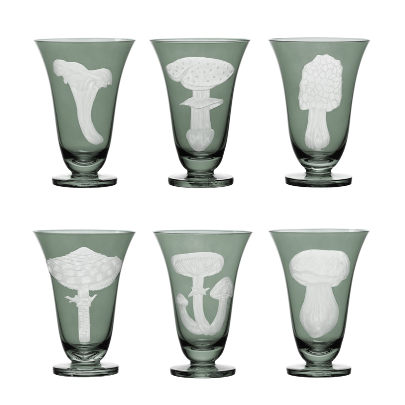 Mushrooms Summer Cep