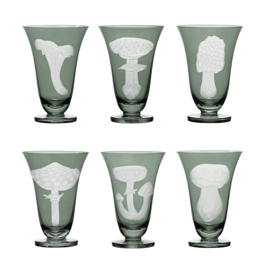 Mushrooms Summer Cep