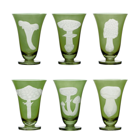 Mushrooms Honey Fungus