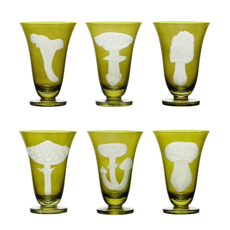 Mushrooms Summer Cep