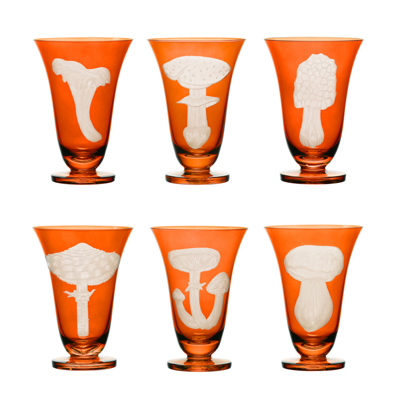 Mushrooms Chanterelle