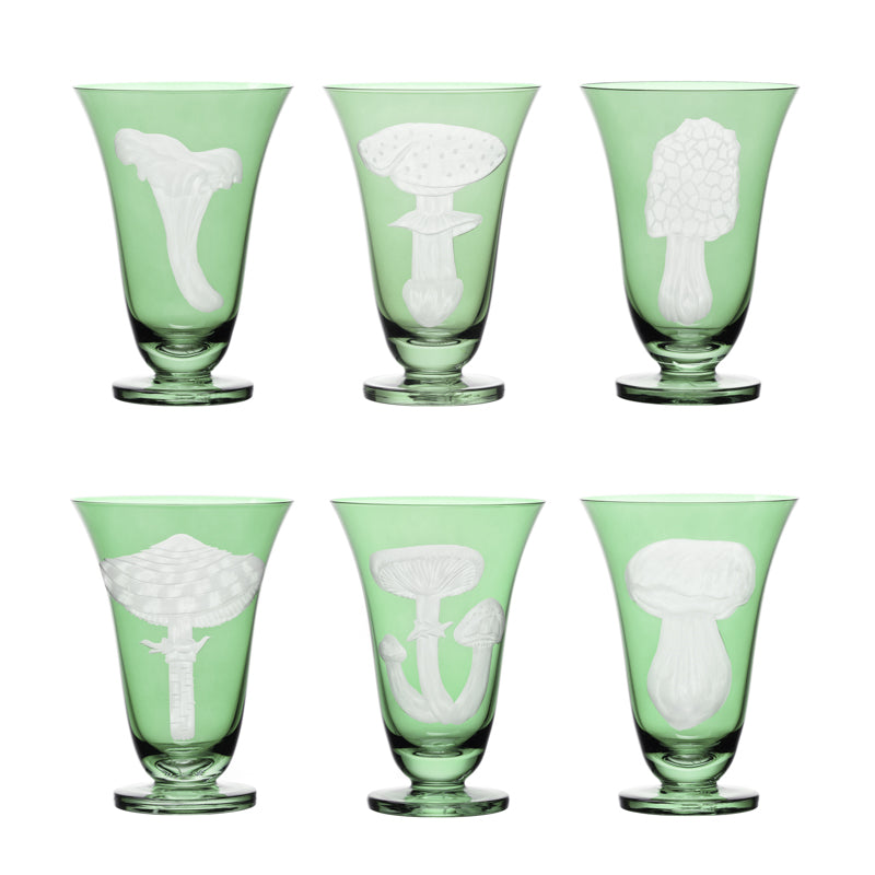 Mushrooms Fly Amanita