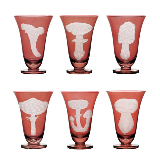 Mushrooms Fly Amanita