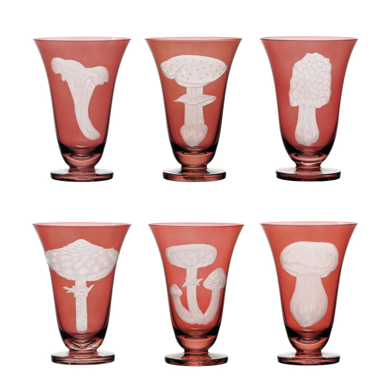 Mushrooms Summer Cep