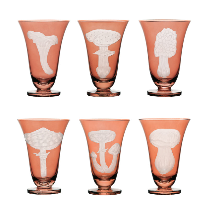 Mushrooms Fly Amanita