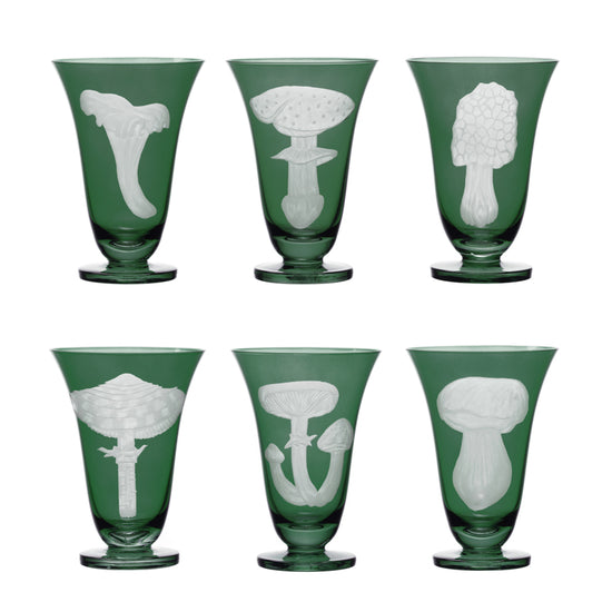 Mushrooms Summer Cep