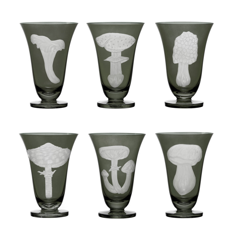 Mushrooms Summer Cep