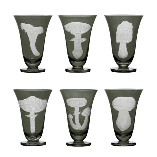 Mushrooms Summer Cep