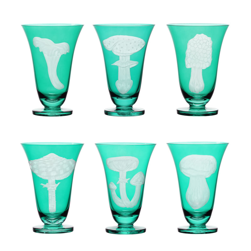 Mushrooms Summer Cep