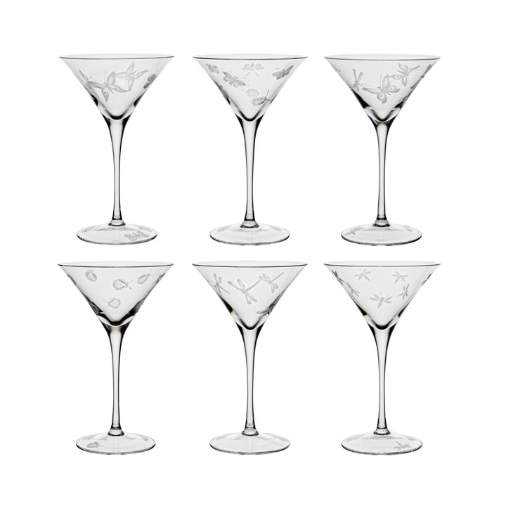 Fly Fusion Collection Set