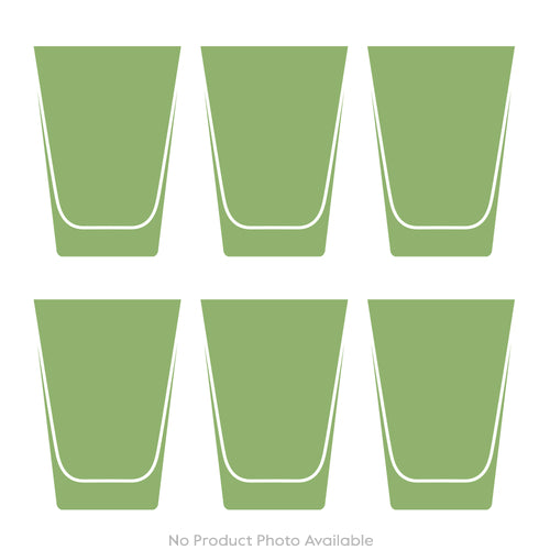 Dinosaur Collection 1 Set