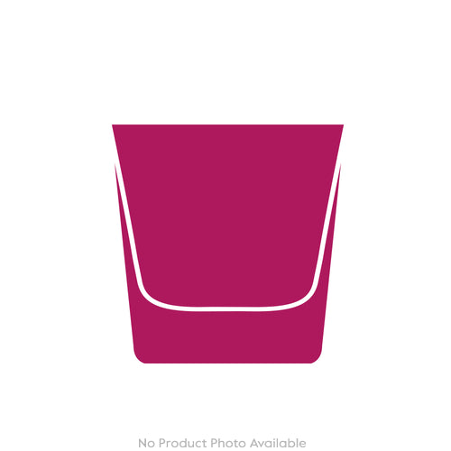 Cabinet of Curiosities Spider