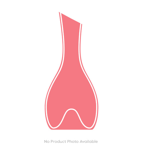 Sea Life Octopus