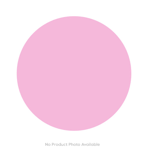 Mushrooms Summer Cep