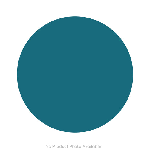 Mushrooms Summer Cep