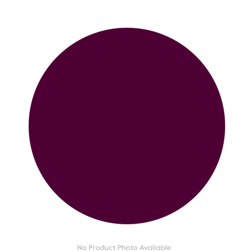 Mushrooms Honey Fungus