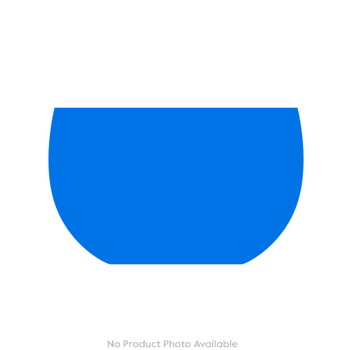 Cabinet of Curiosities Butterfly