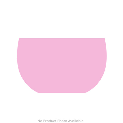 Mushrooms Fly Amanita