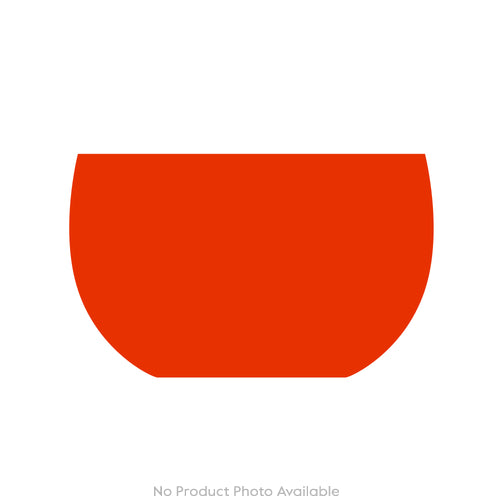 Cabinet of Curiosities Bat