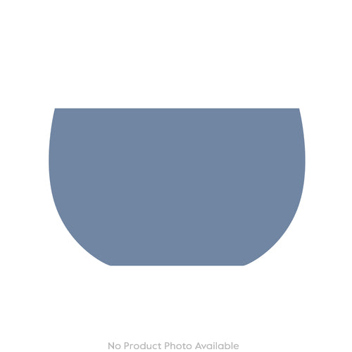 Cabinet of Curiosities Butterfly