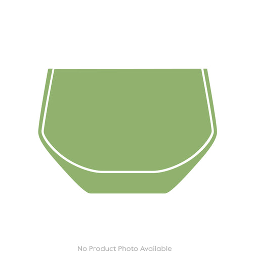 Cabinet of Curiosities Spider