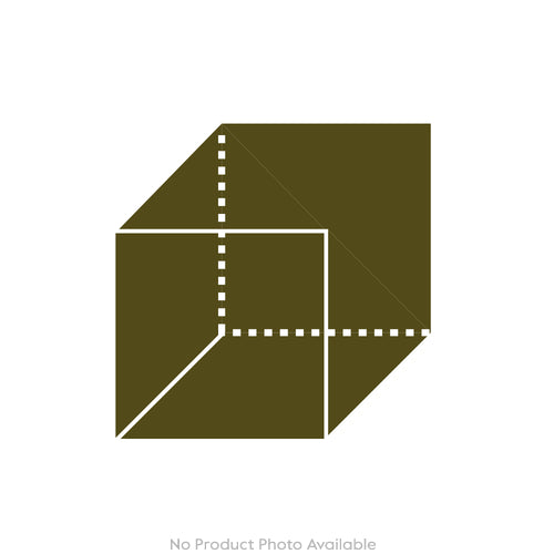 Cabinet of Curiosities Beetle