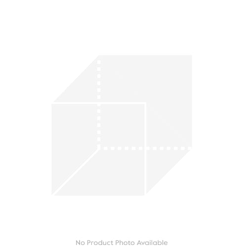 Cabinet of Curiosities Spider