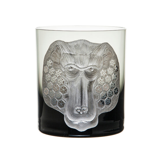 African Safari Baboon