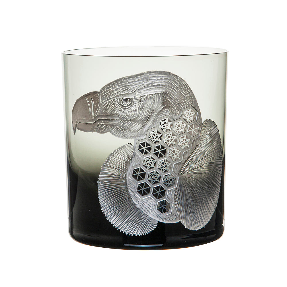 African Safari Vulture