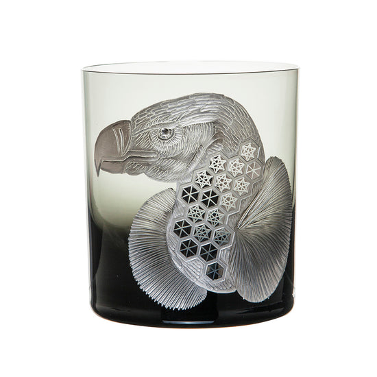 African Safari Vulture